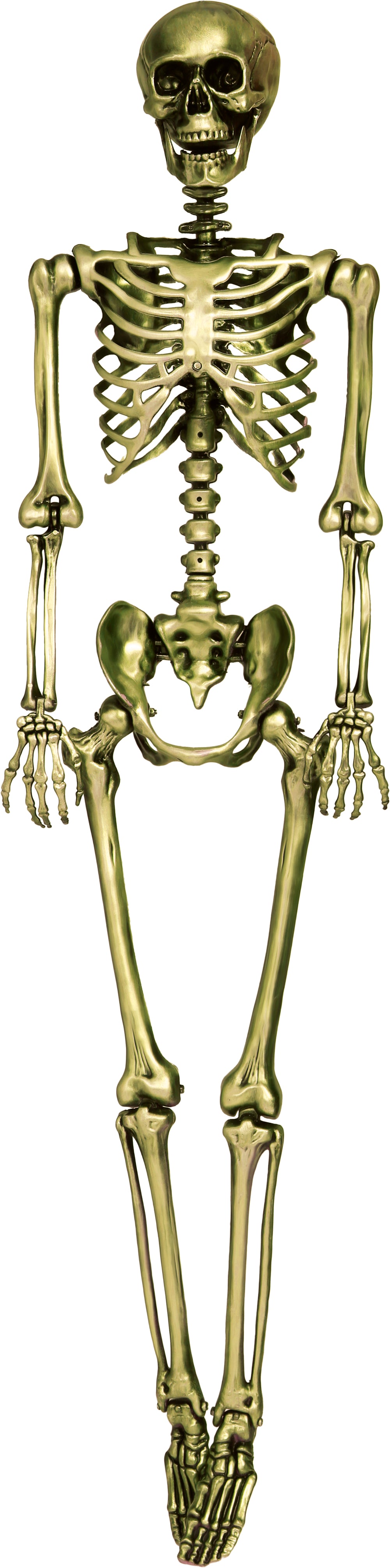 SKELETON 90 CM