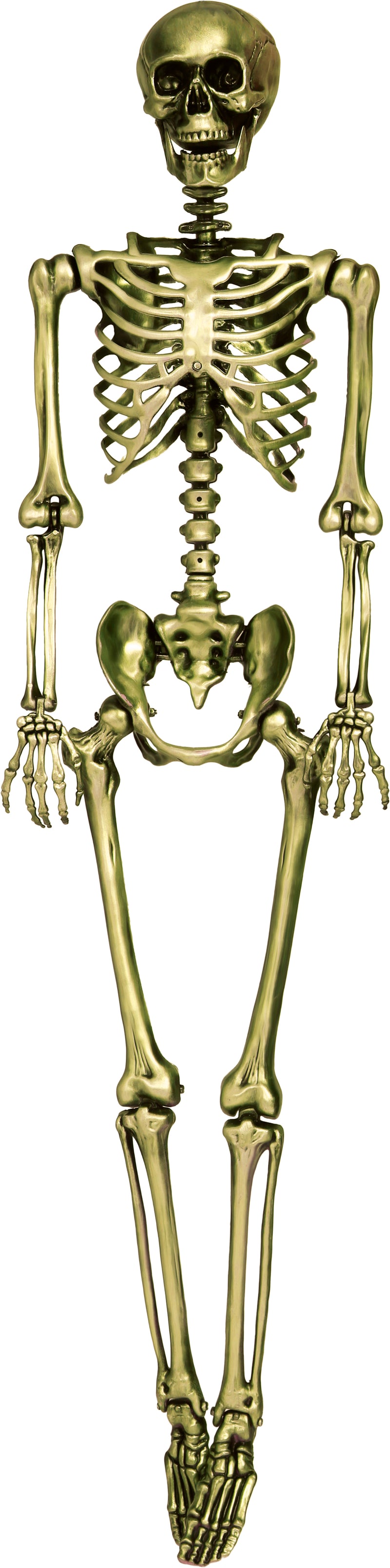 SKELETON 90 CM