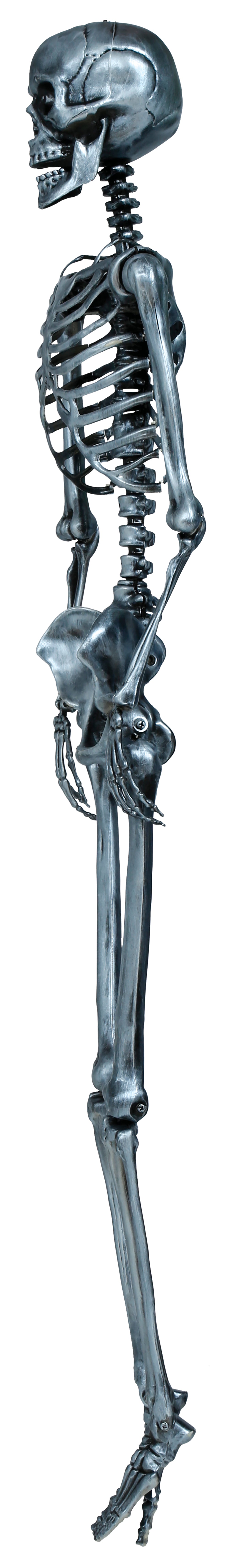 SKELETON 90 CM
