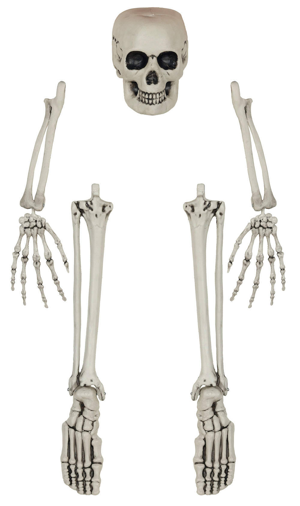 SKELETON BONE SET, 5 PIECES