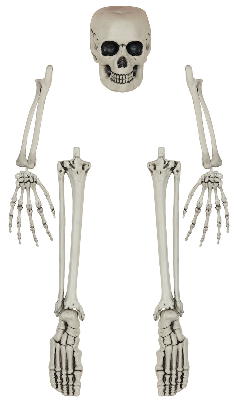 SKELETON BONE SET, 5 PIECES