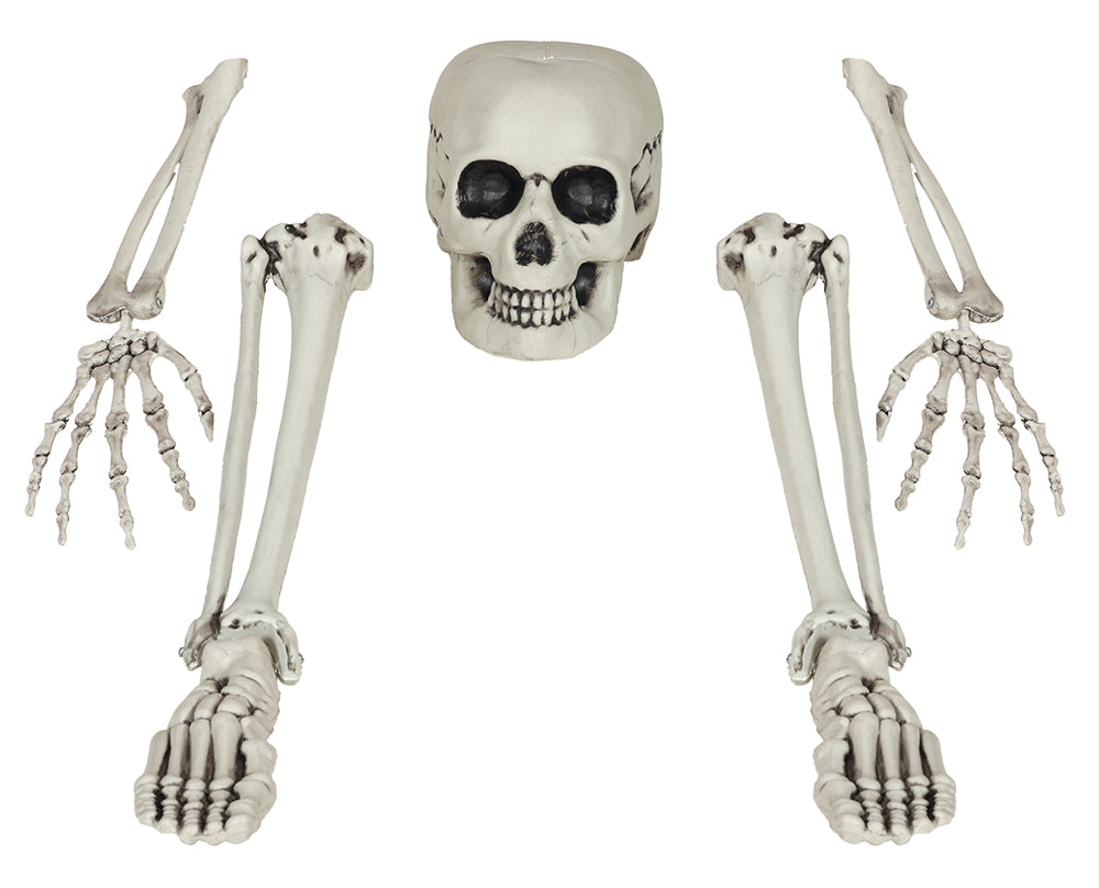 SKELETON BONE SET, 5 PIECES