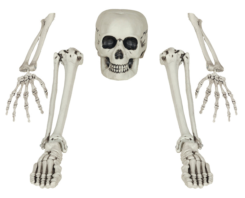 SKELETON BONE SET, 5 PIECES