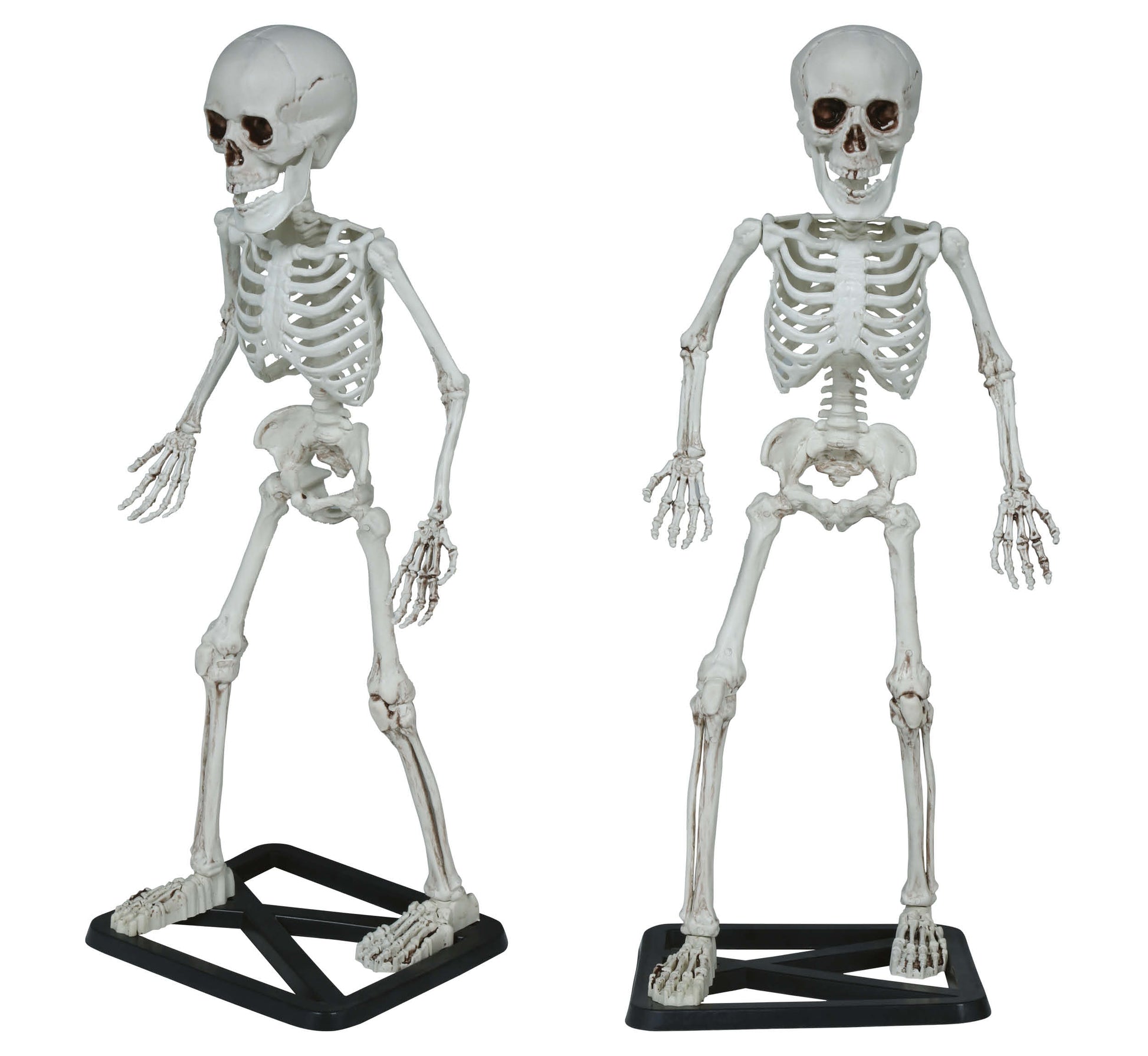 STANDING SKELETON 55 CM