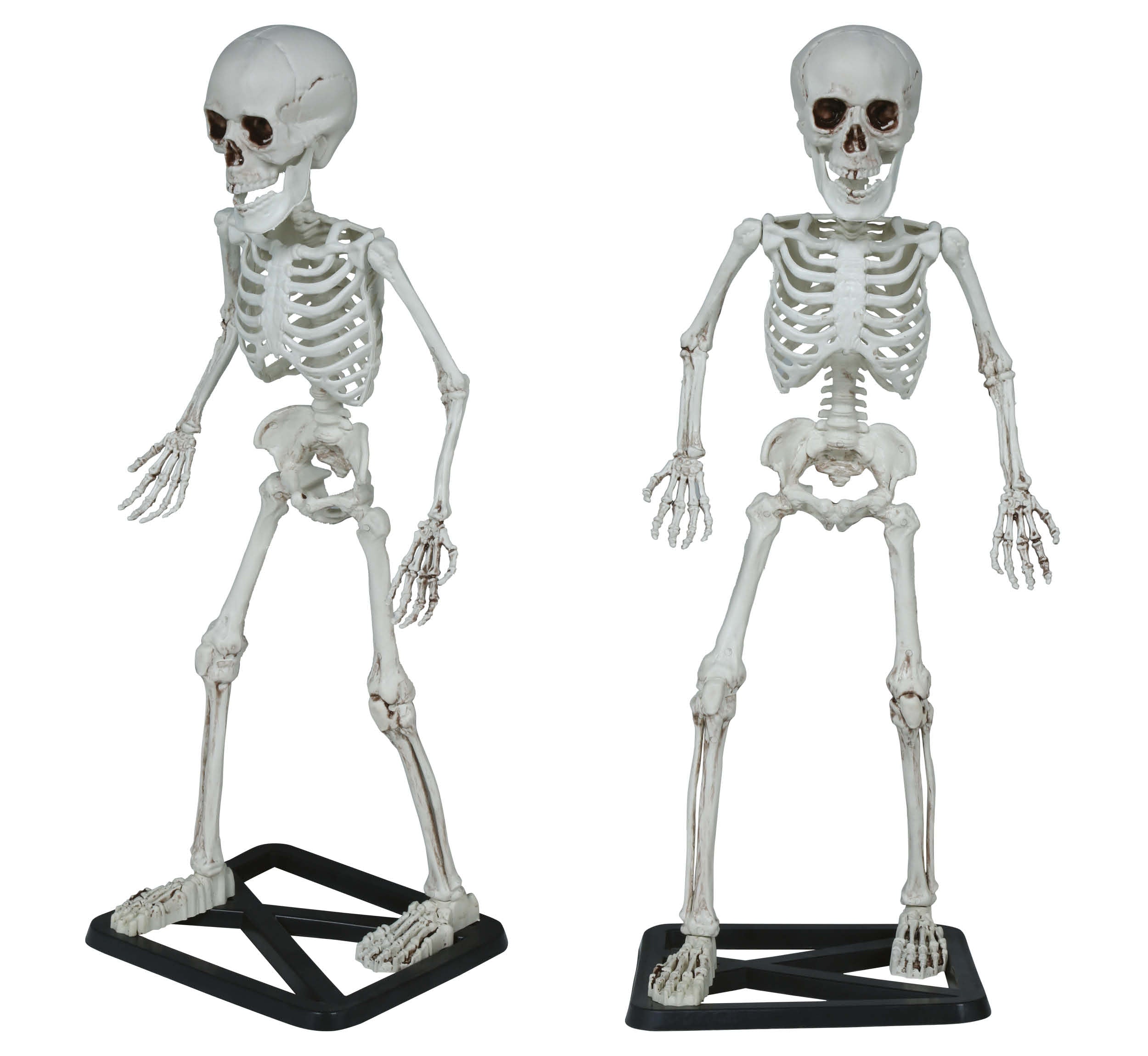 STANDING SKELETON 55 CM