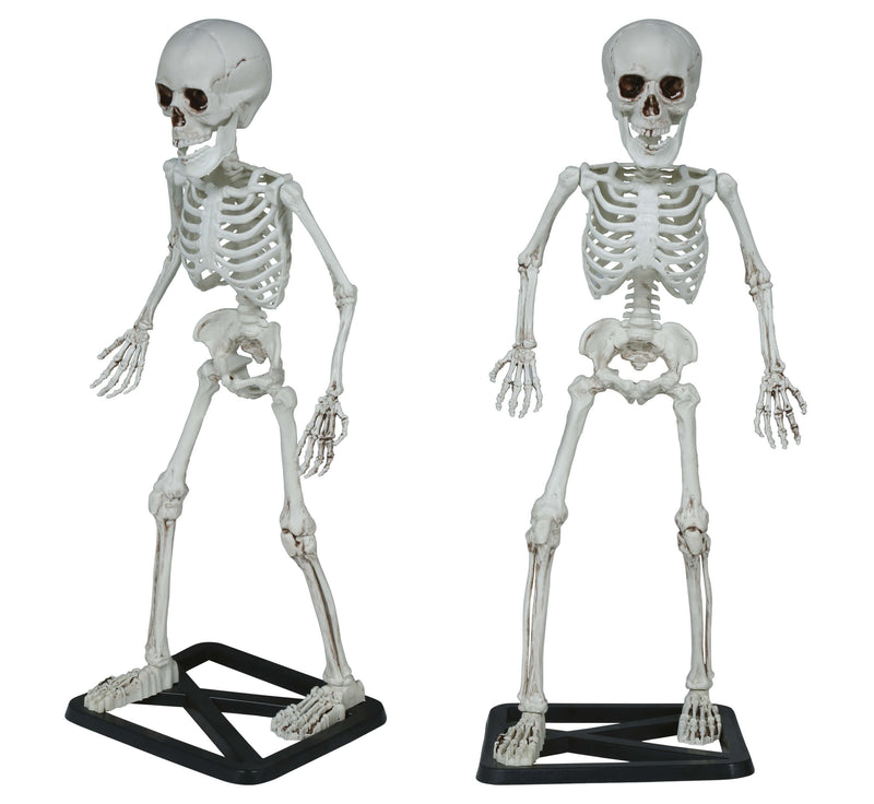 STANDING SKELETON 55 CM