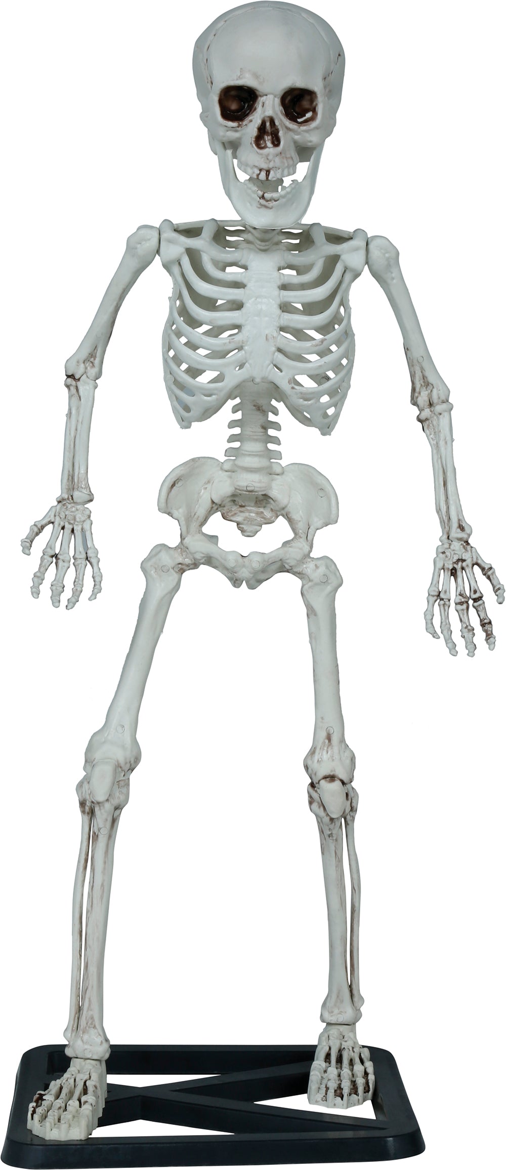STANDING SKELETON 55 CM