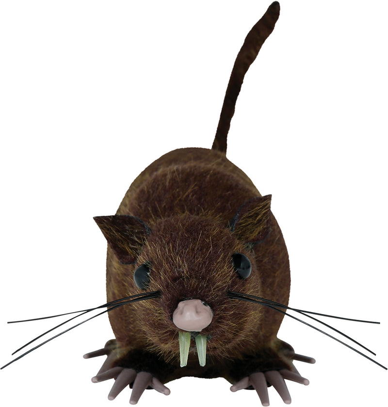 BROWN RAT 15 CM