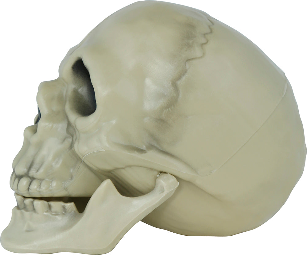 SKULL PVC, 13 CM