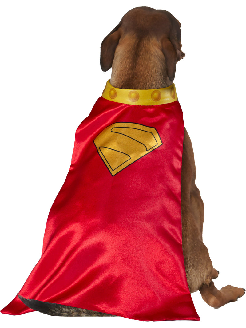 Krypto Pet Cape and Collar 2