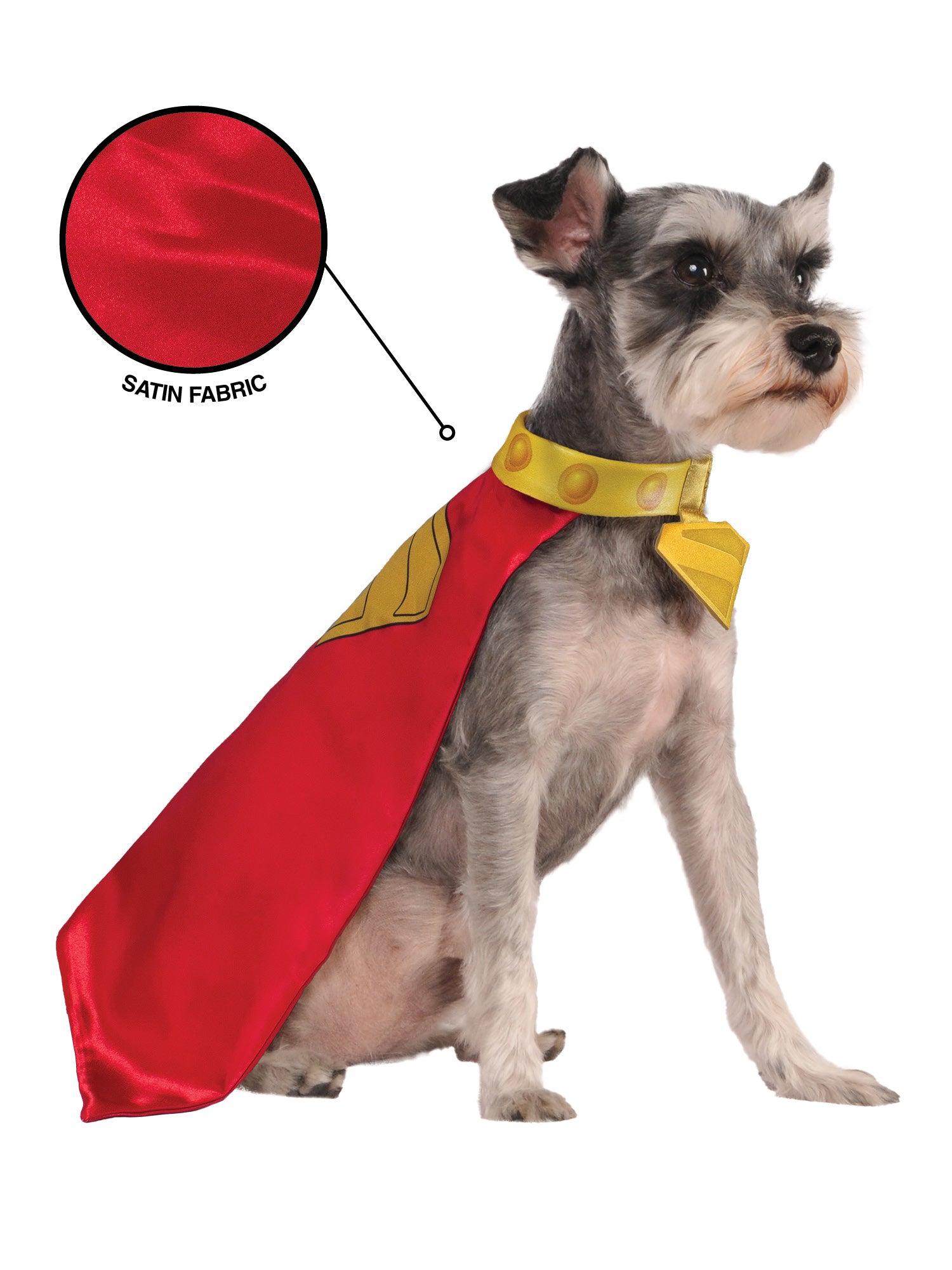 Krypto Pet Cape and Collar