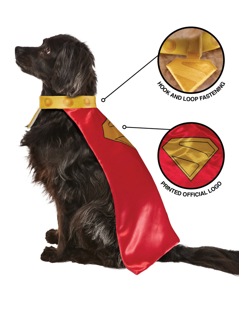 Krypto Pet Cape and Collar