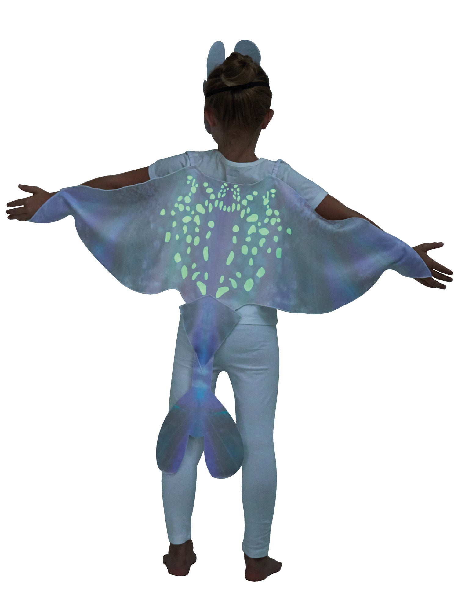 Light Fury Accessory Set