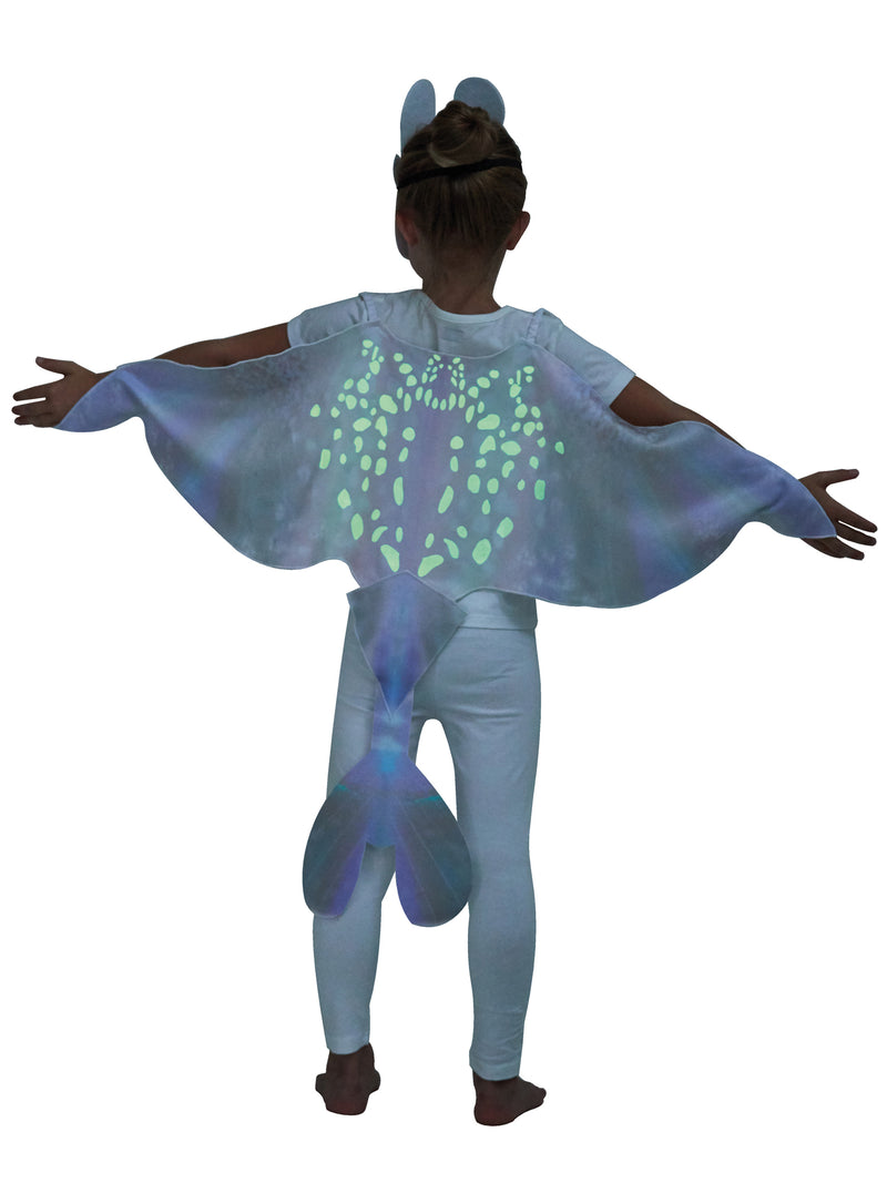 Light Fury Accessory Set