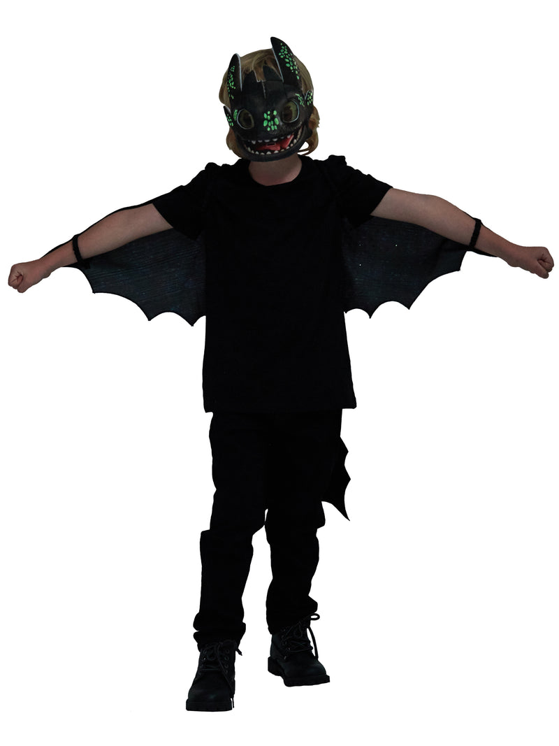 Toothless Accessory Set