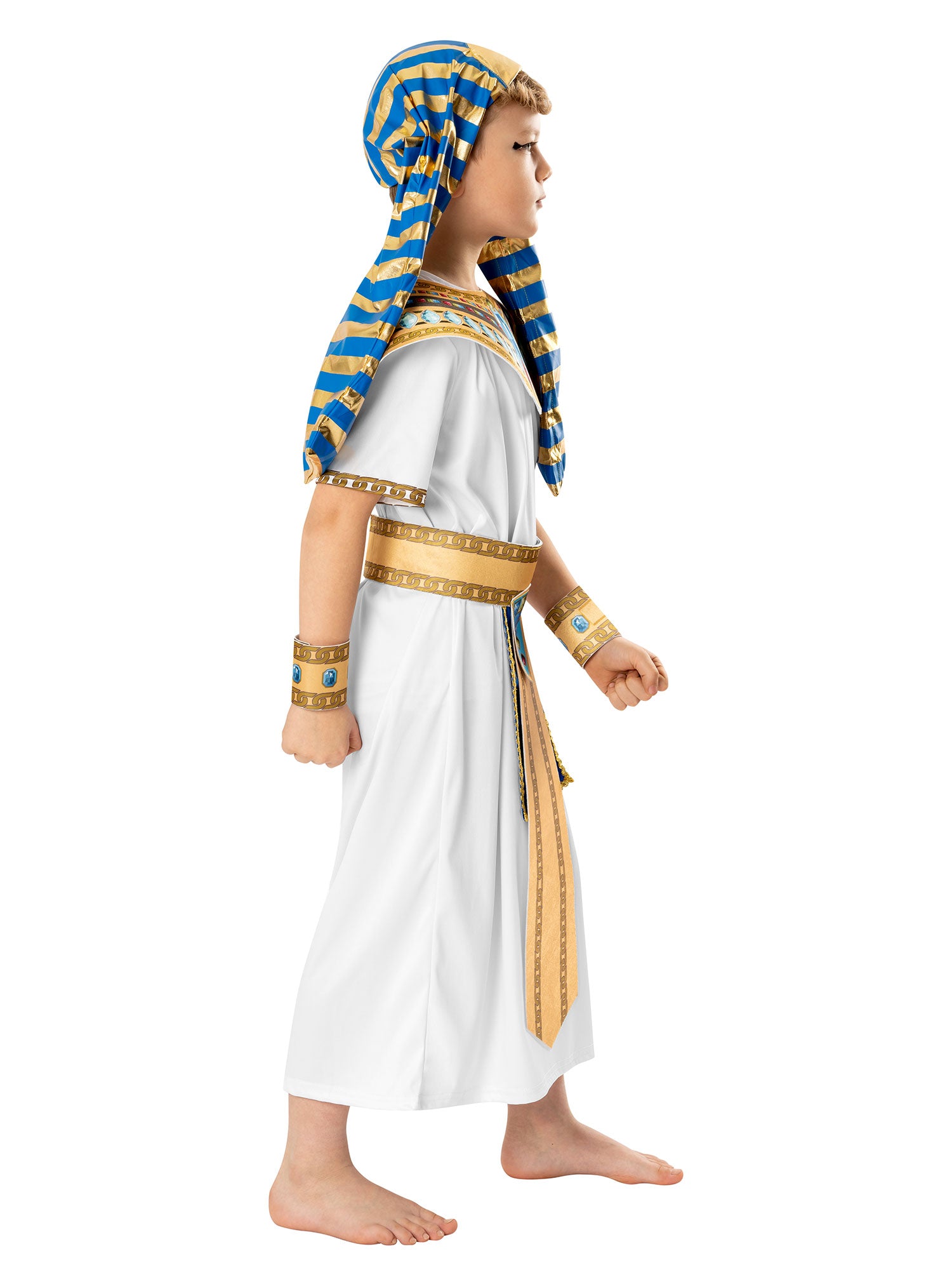 Blue Pharaoh