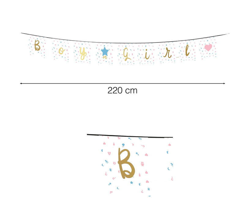 IT'S A BOY OR A GIRL PENNANT 220 CMS