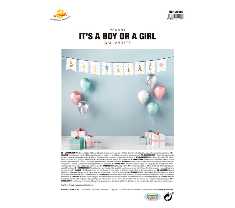 IT'S A BOY OR A GIRL PENNANT 220 CMS