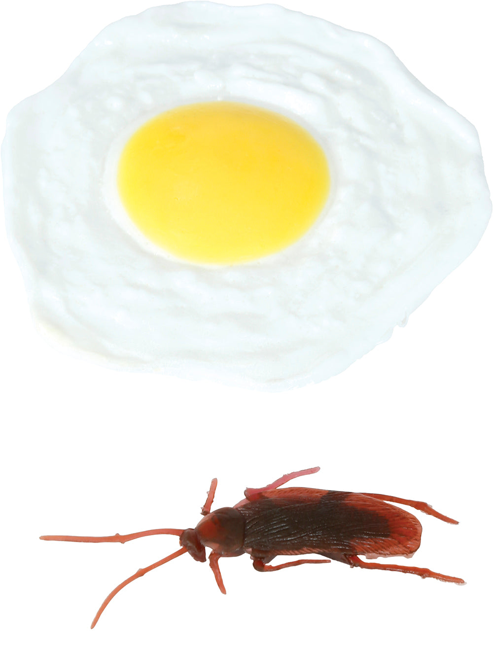 FRIED EGG LATEX