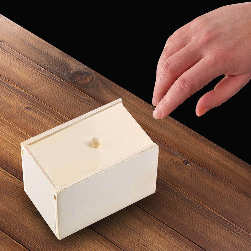 WOODEN BOX WITH PRANK SPIDER