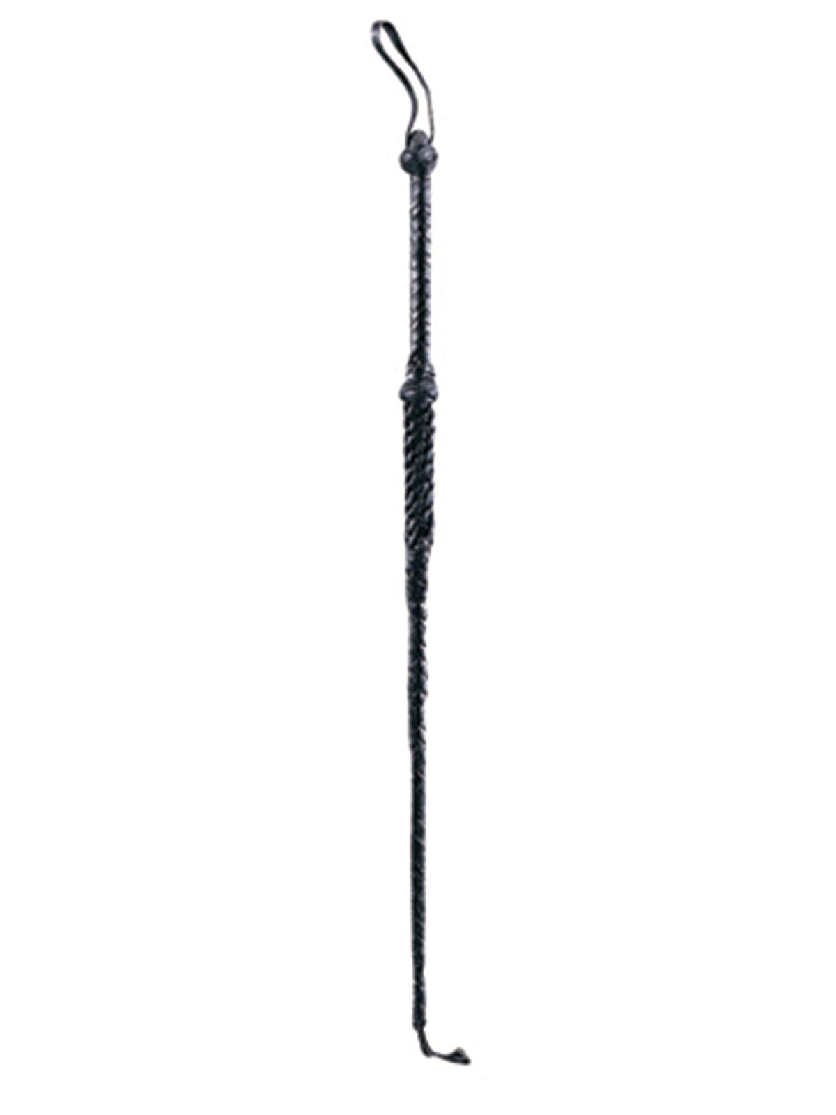 Riding Crop 1
