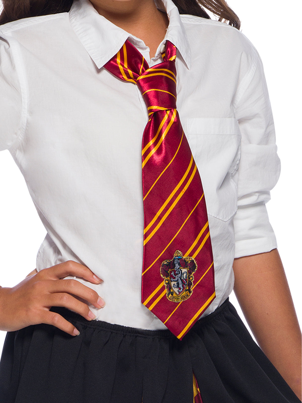 Gryffindor Tie 3