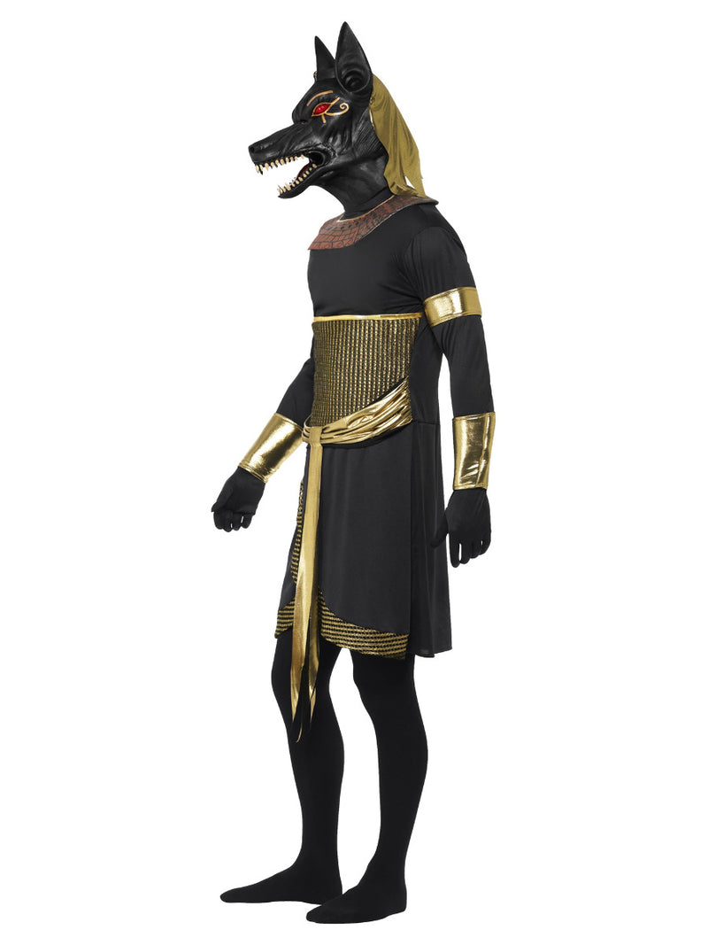 Anubis the Jackal, Black & Gold - 4