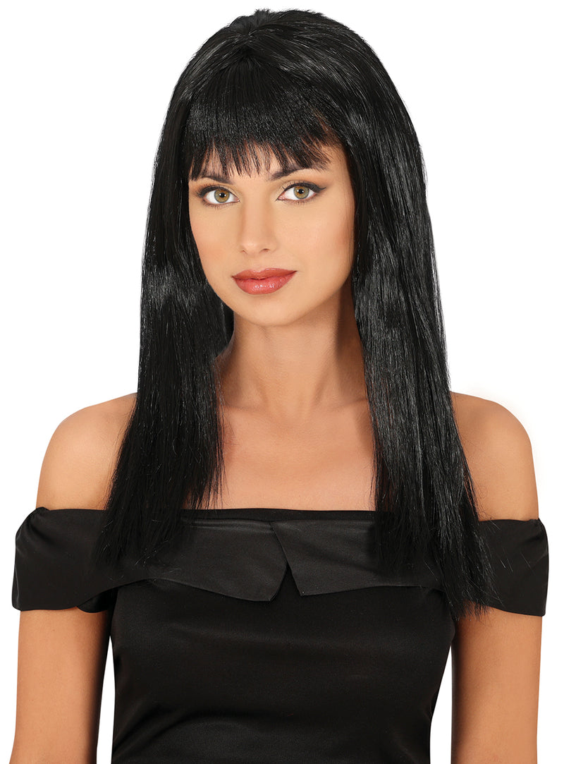 LONG STRAIGHT WIG 120 GR IN BAG