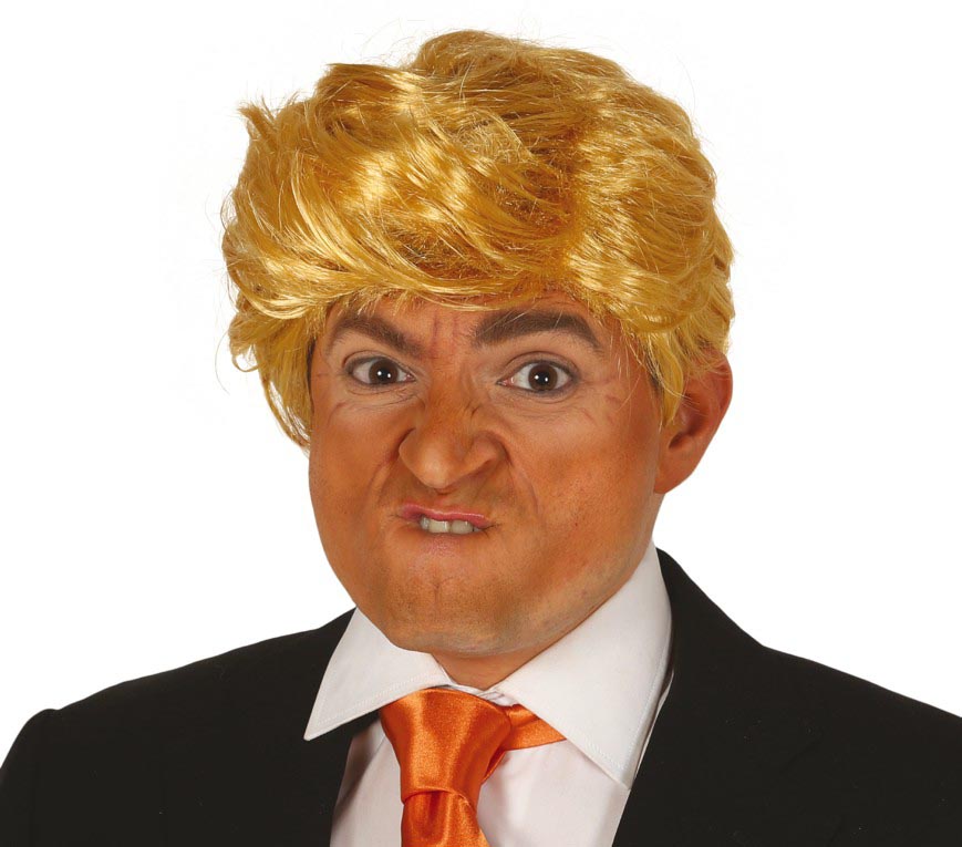 "PRESIDENT" WIG (BOX CONTAINER)