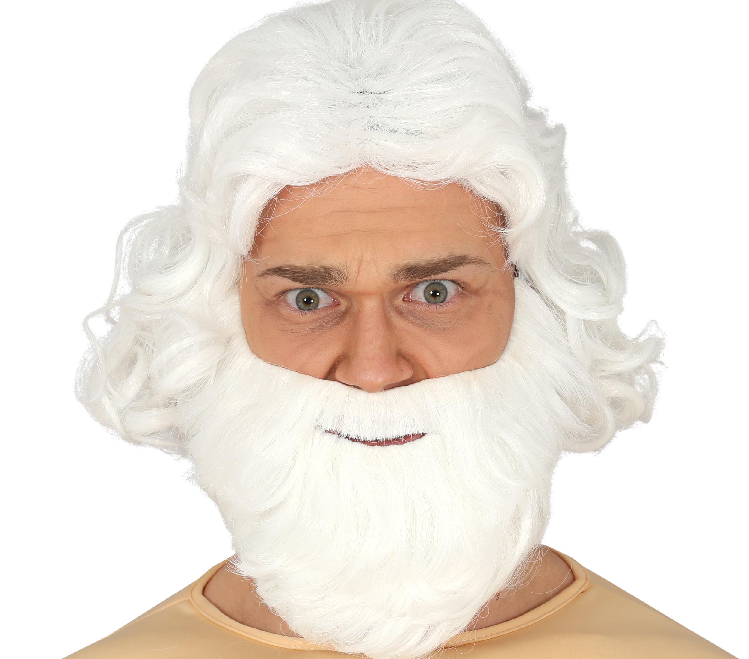 WIG AND WHITE BEARD  (BOX IN CONTAINER)