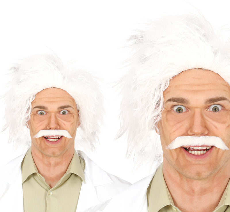 CRAZY SAGE WIG  (BOX IN CONTAINER)