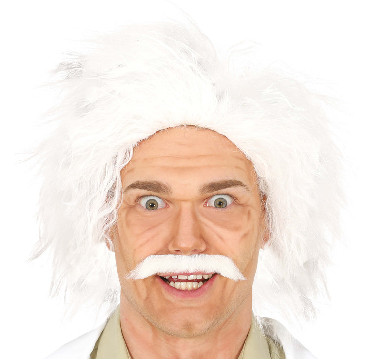 CRAZY SAGE WIG  (BOX IN CONTAINER)