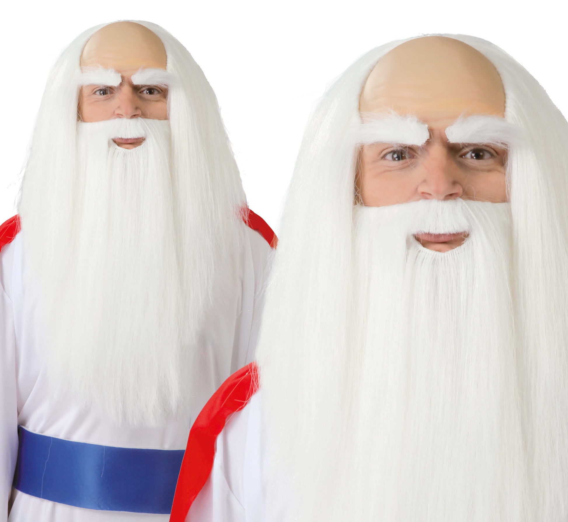 DRUID WIG AND BEARD (BOX CONTAINER)