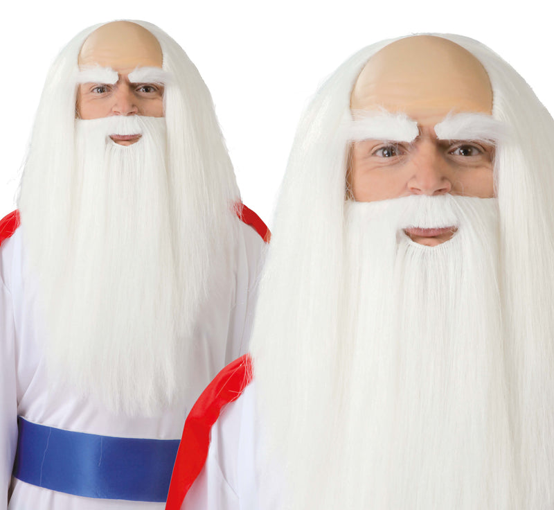 DRUID WIG AND BEARD (BOX CONTAINER)
