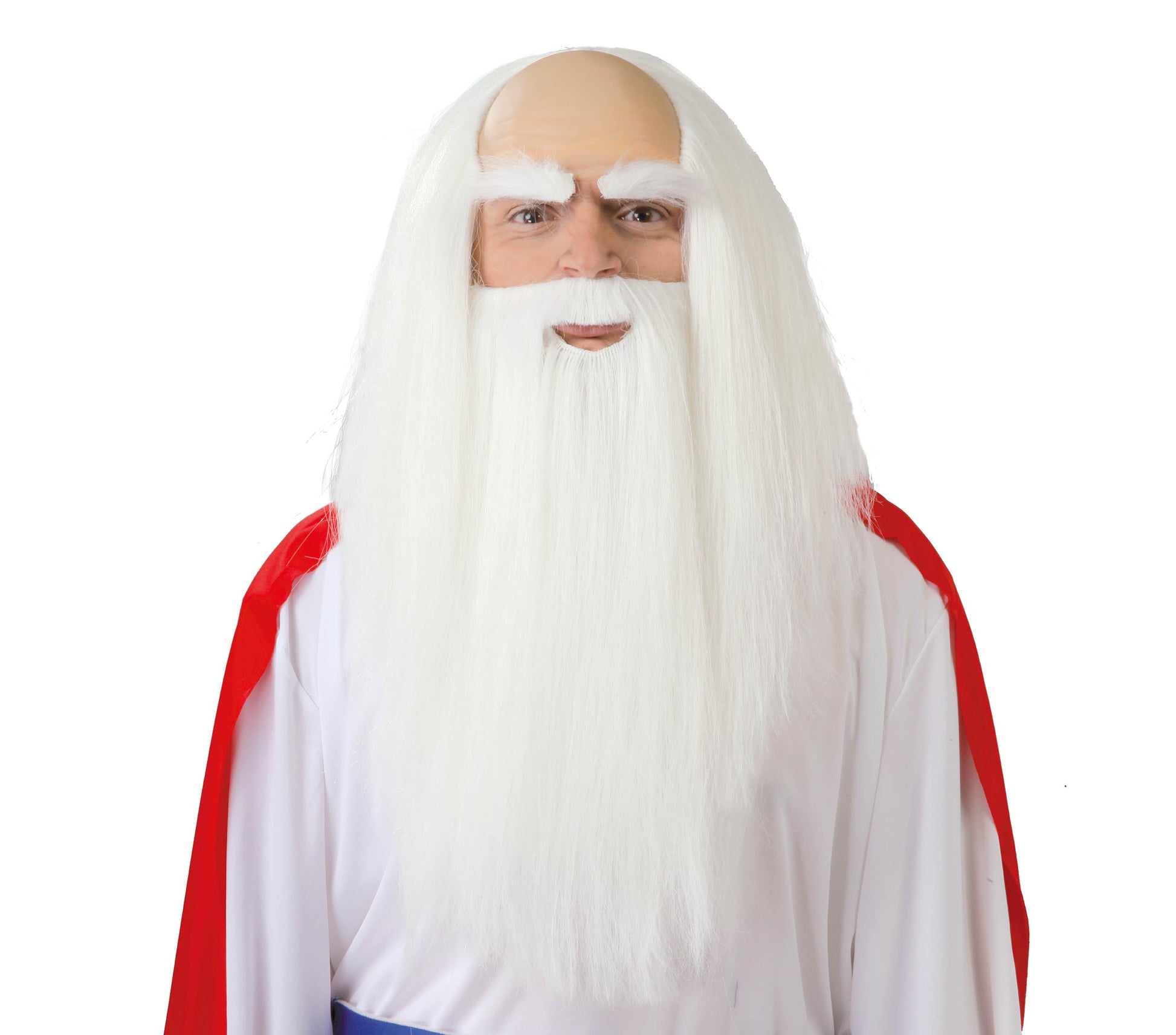 DRUID WIG AND BEARD (BOX CONTAINER)