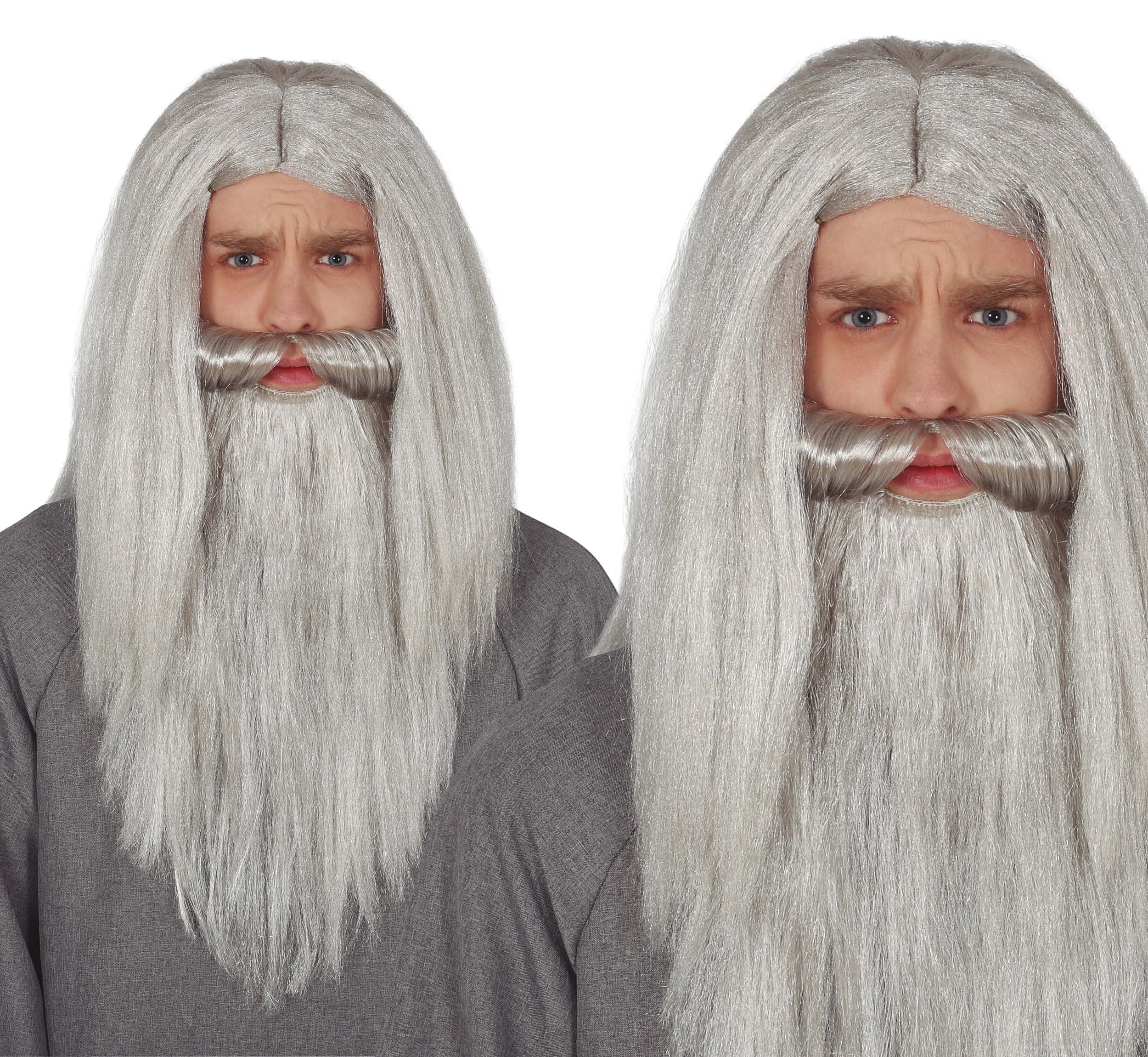 GRAY BEARD WIG (BOX IN CONTAINER)