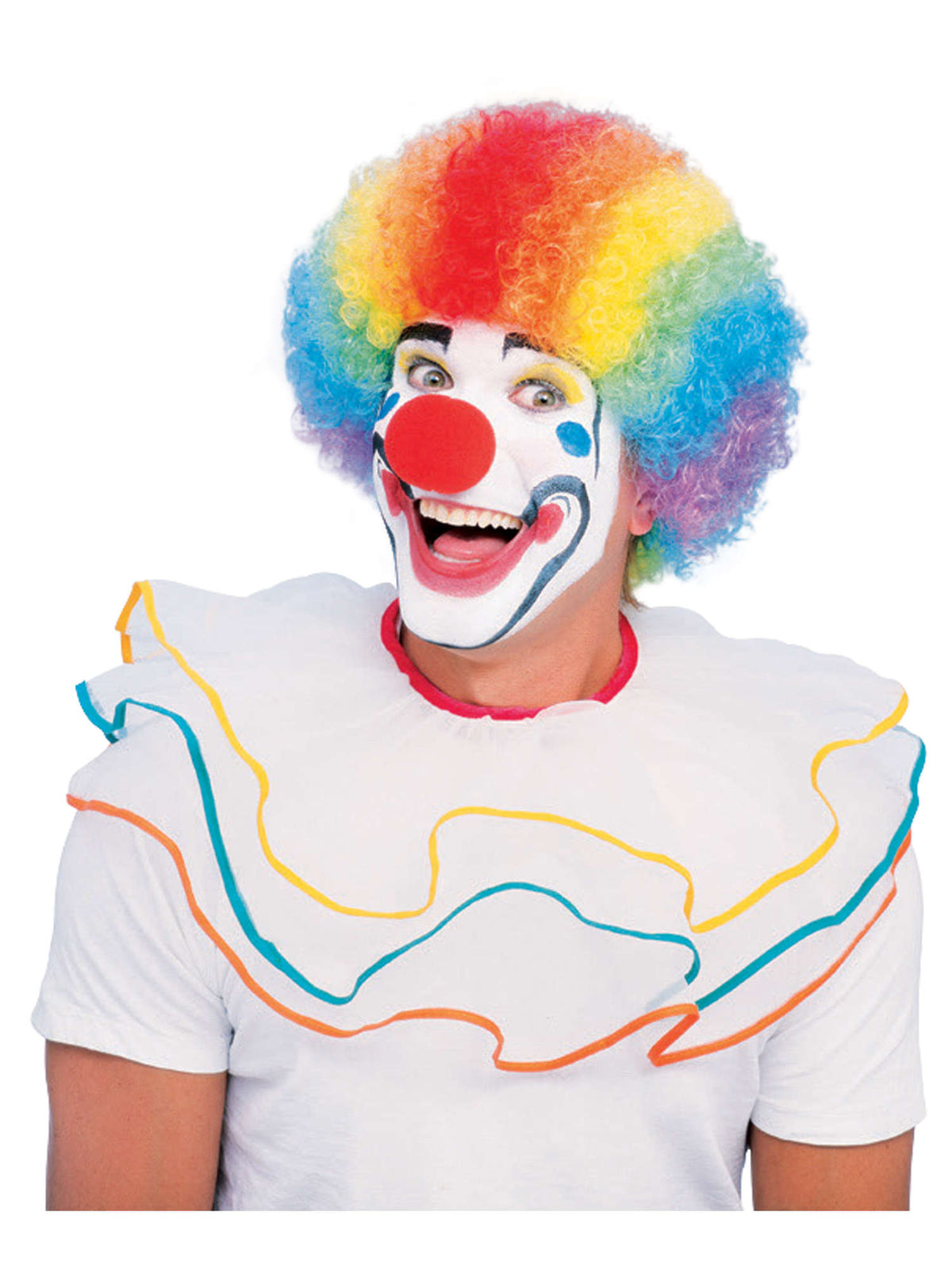 Clown Wig Multi Colour Afro 1