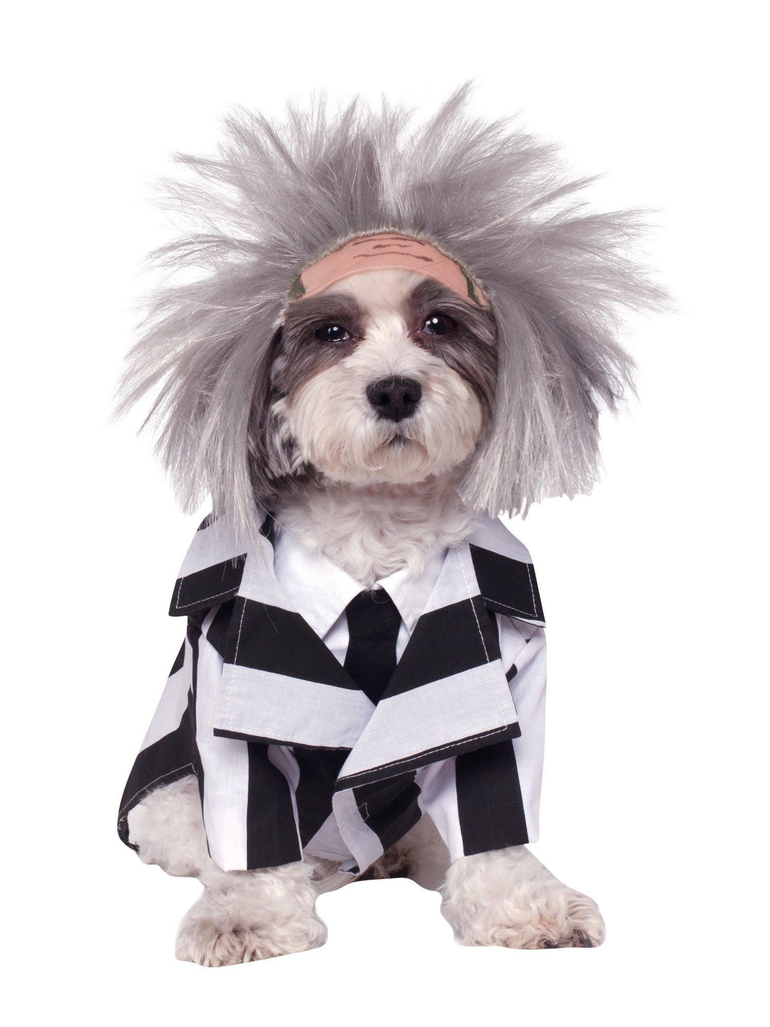 BEETLEJUICE PET COSTUME