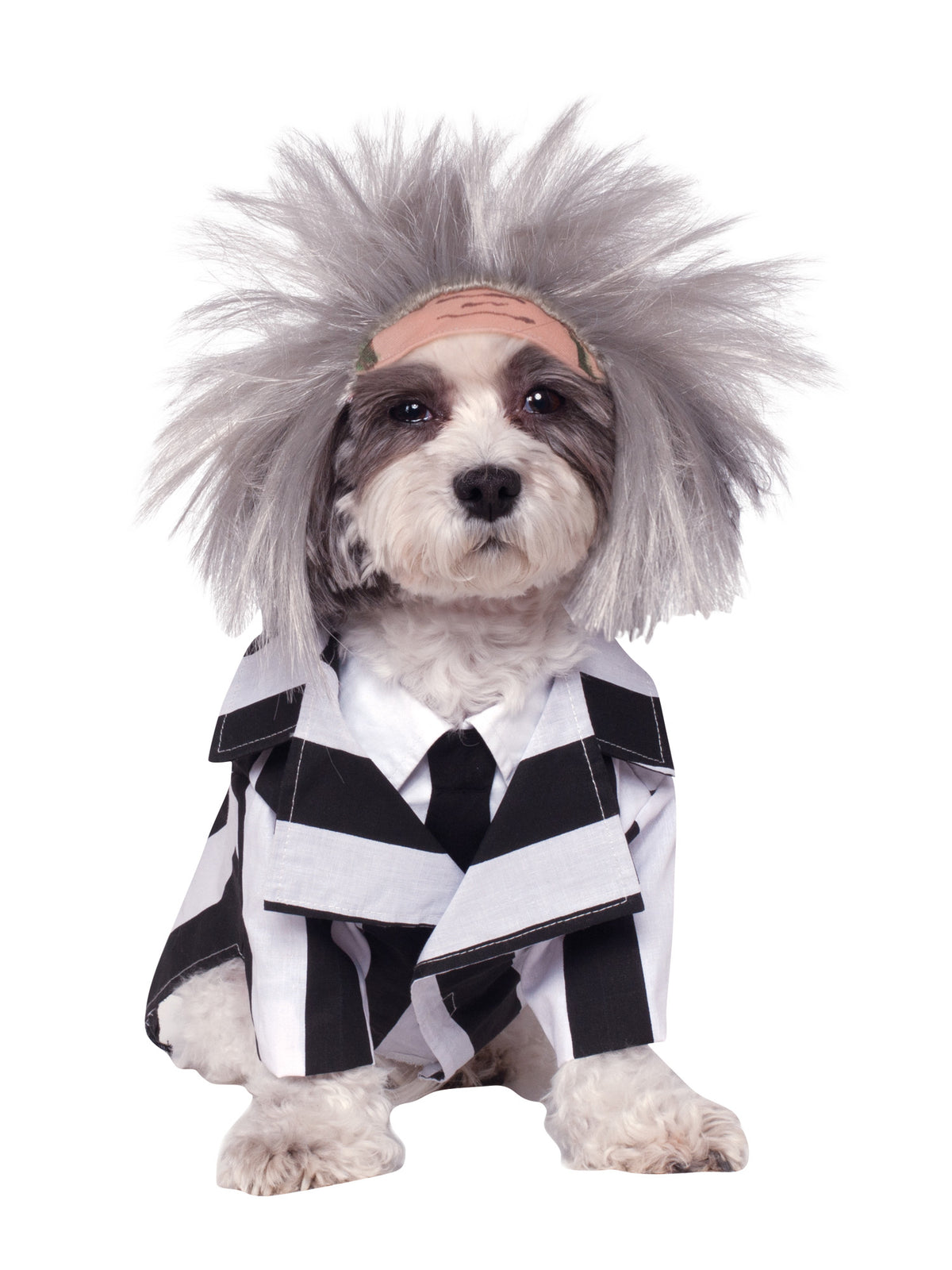 BEETLEJUICE COSTUME 1