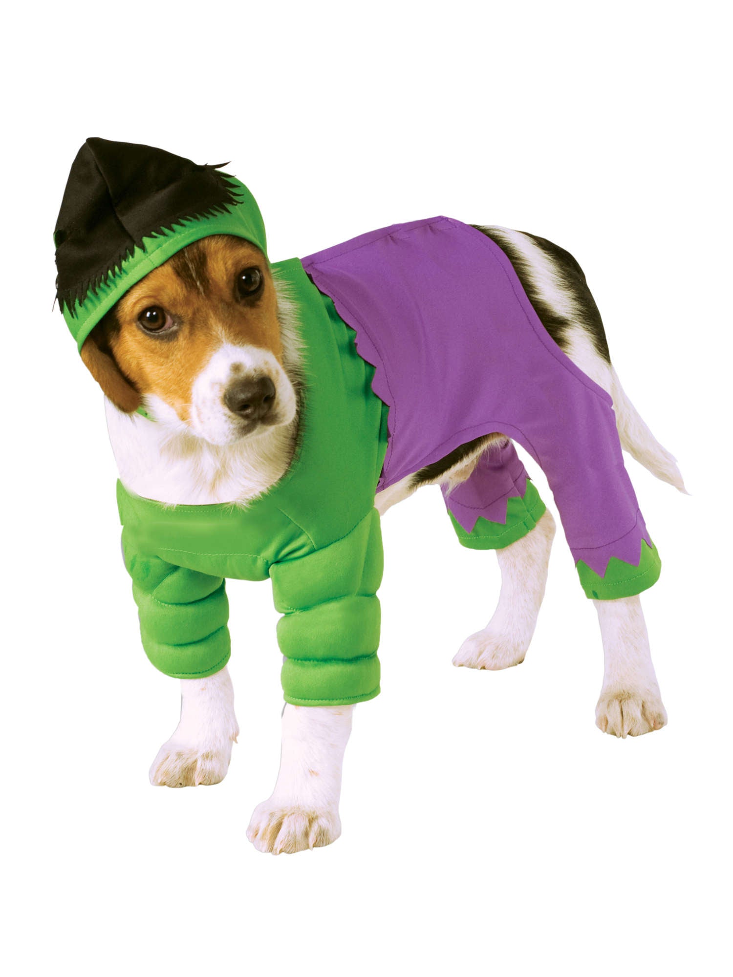 Hulk Pet Costume