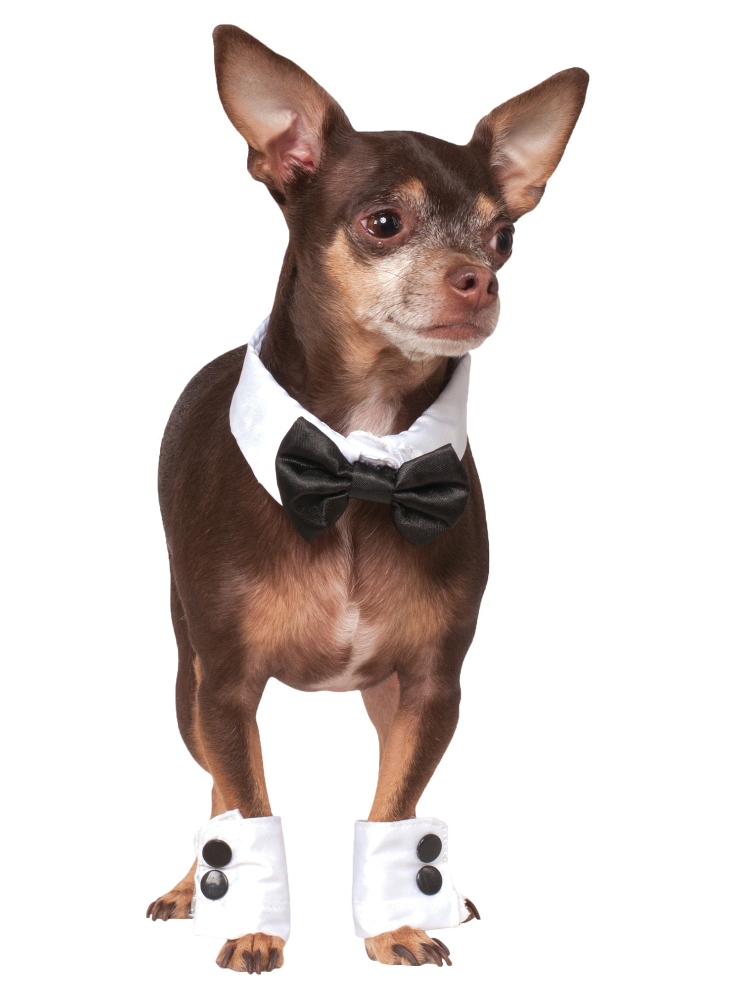 Pets Bowtie & Cuff Set Pet Costume