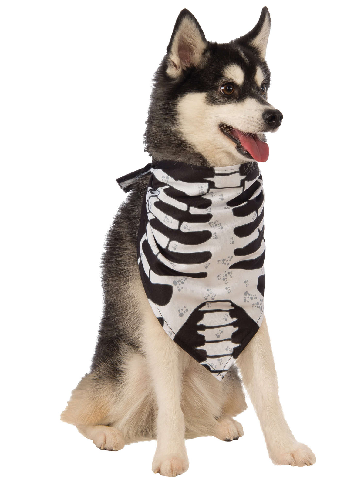 Skeleton Bandana Pet Costume 1