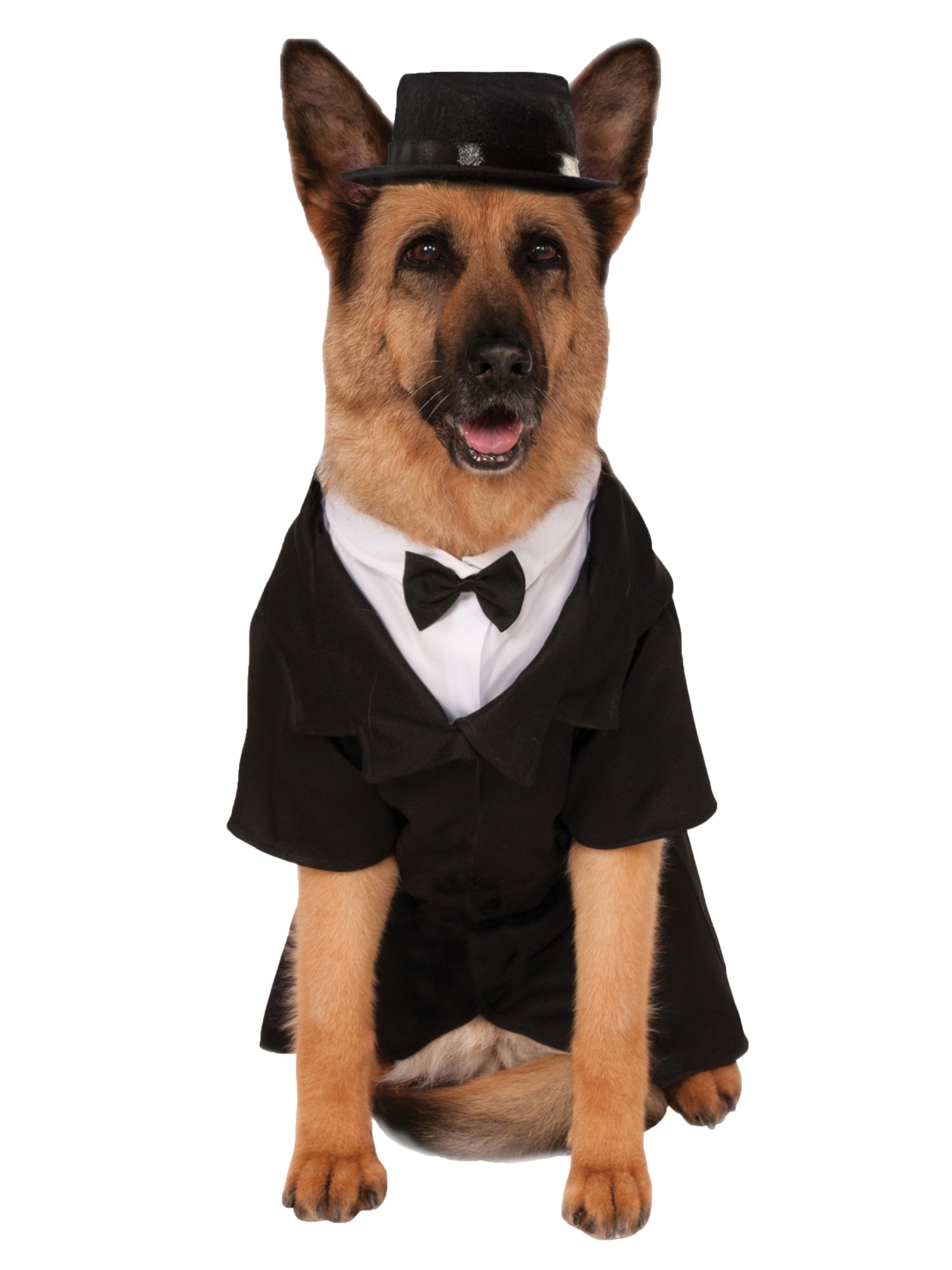 Dapper Dog Big Dog Pet Costume - Size Xxl