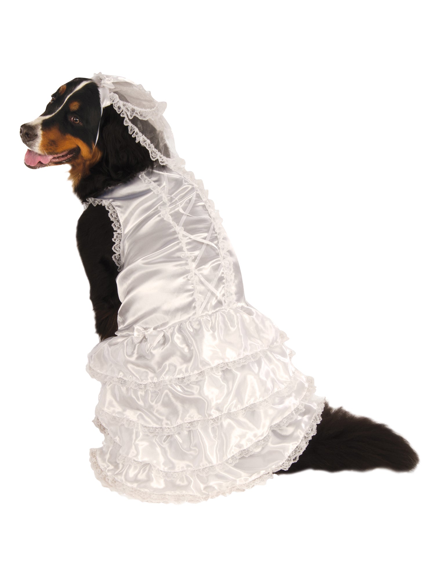 Bride Pet Costume