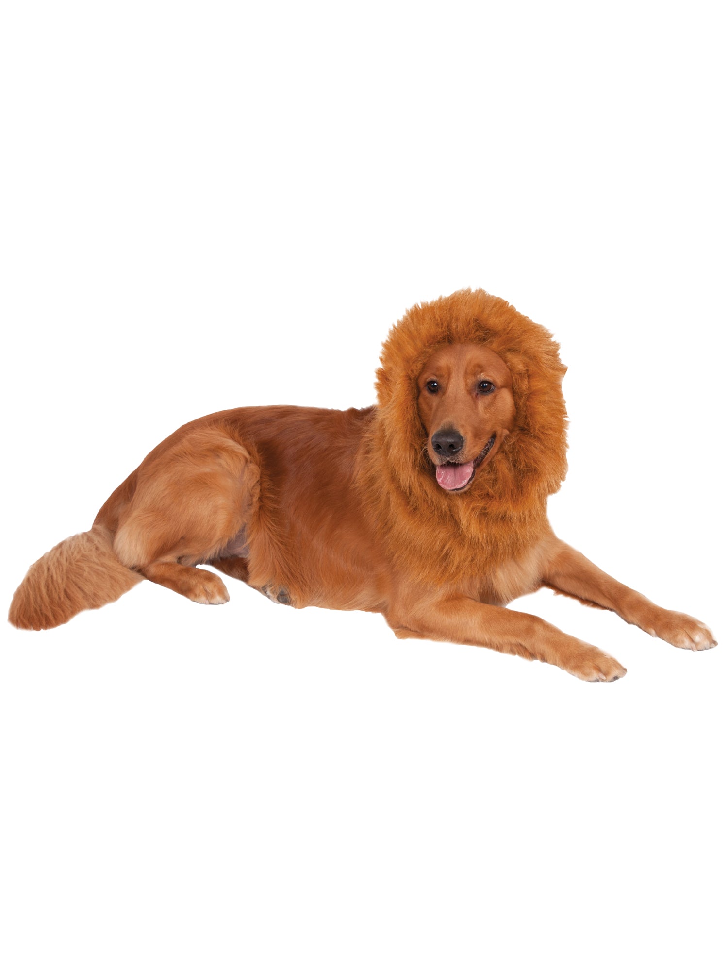 Lion's Mane Pet Costume Deluxe
