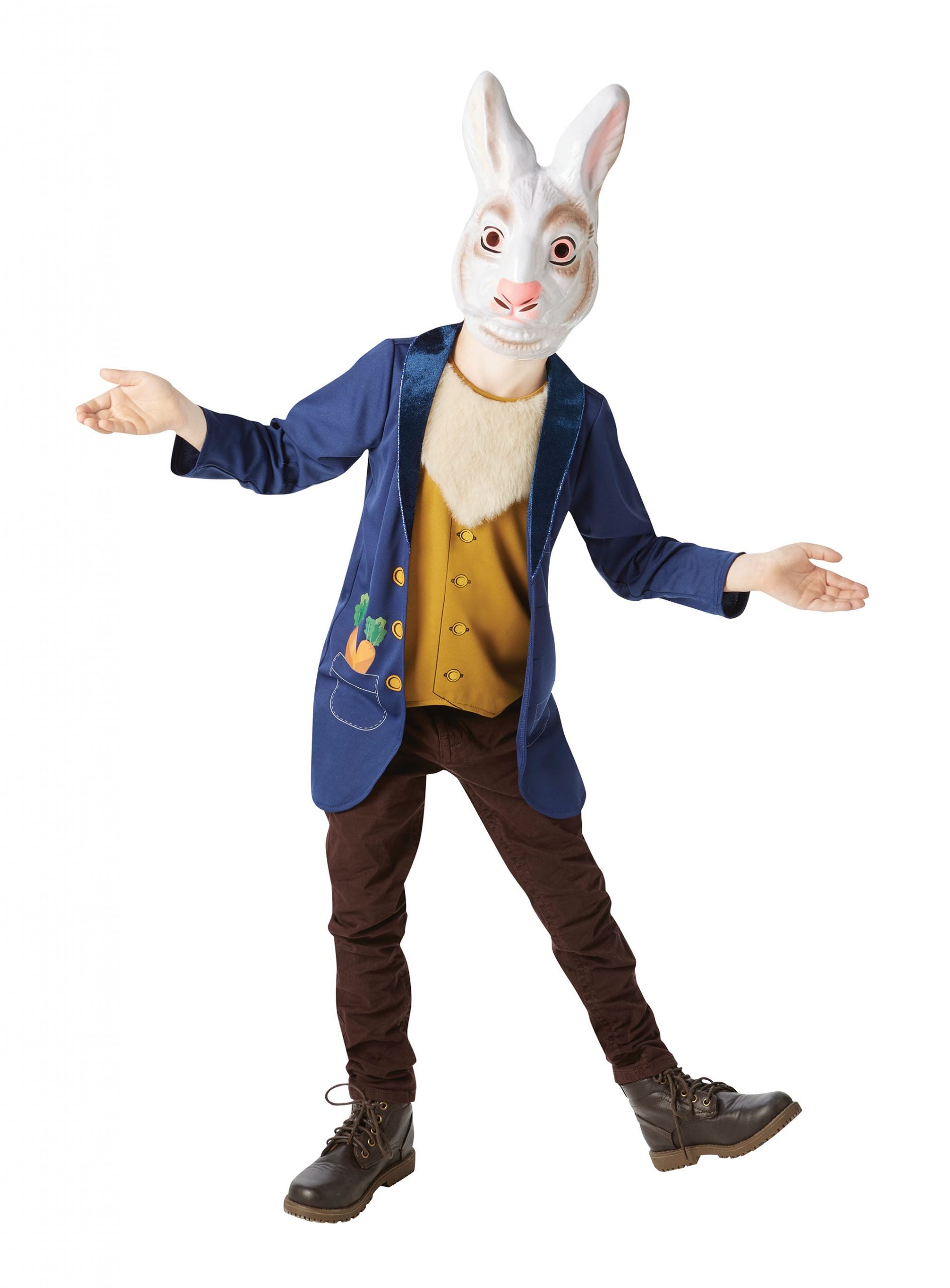 Mr Rabbit