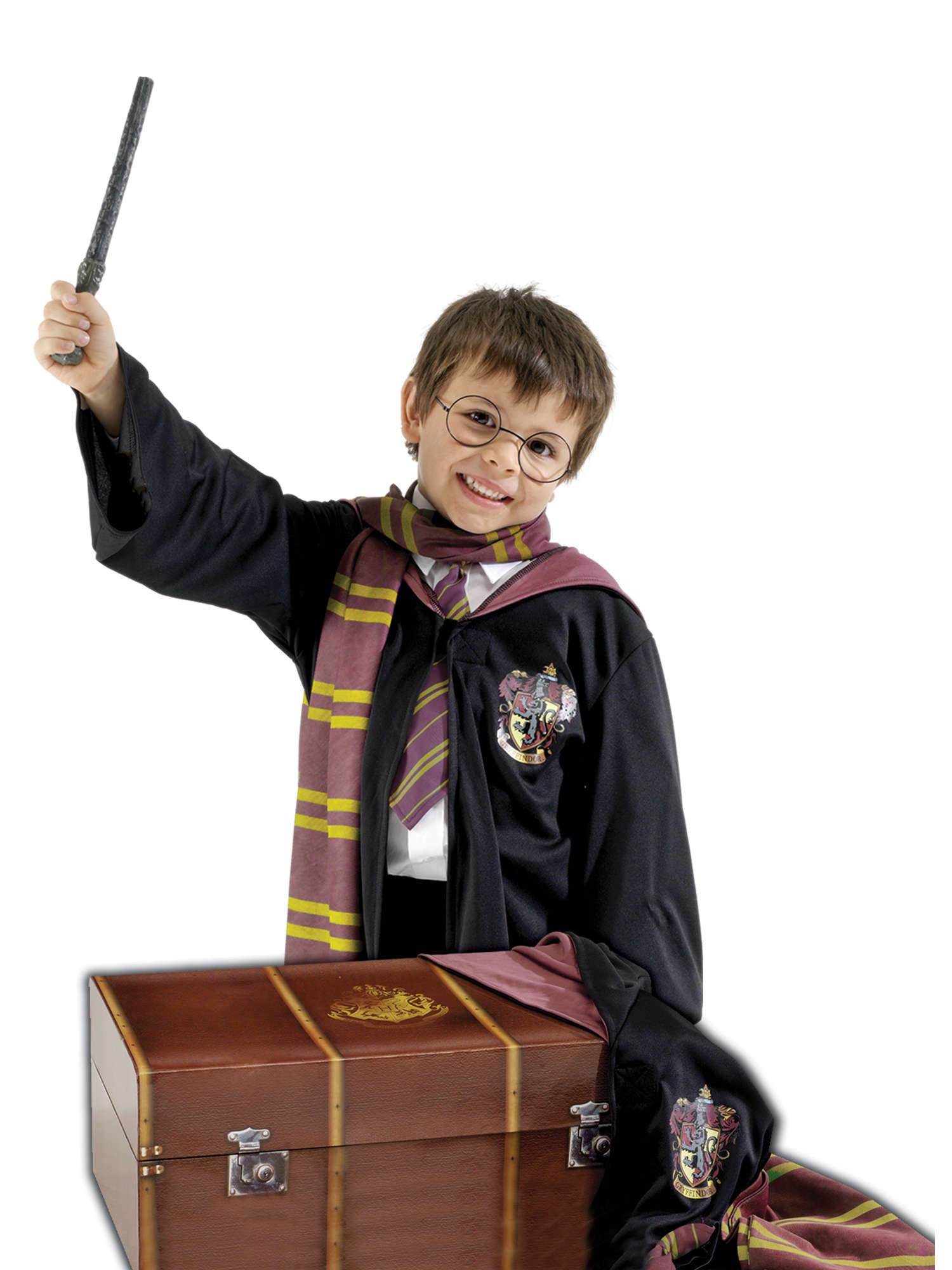 Harry Potter Trunk -