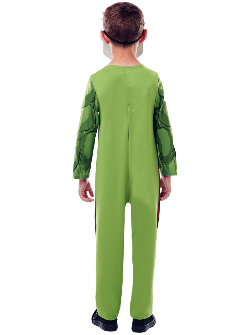Hulk Costume
