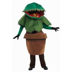Co-Venus Fly Trap-Std
