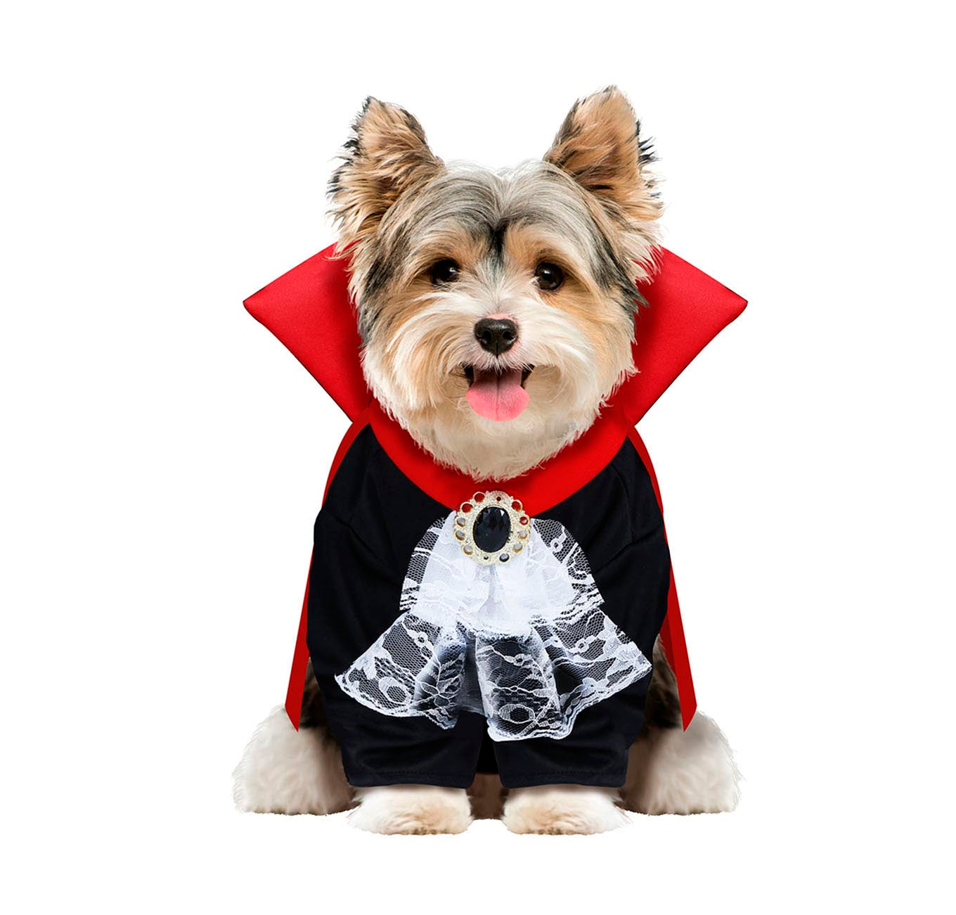 WOOFERATU DOG
